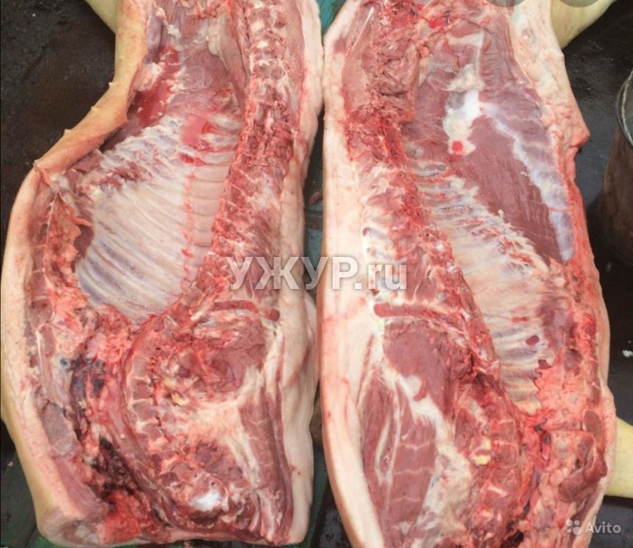 Мясо свинины 